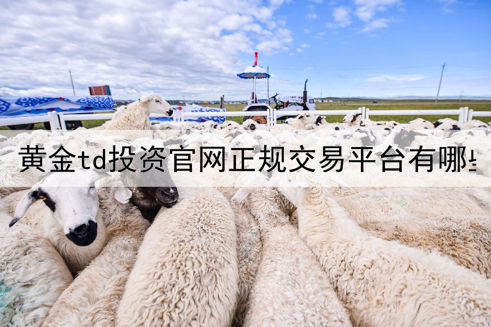  黄金td投资官网正规交易平台有哪些特点？